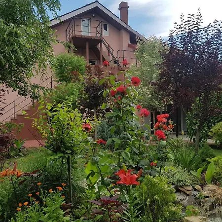 Pensiune Casa Davi Costineşti
