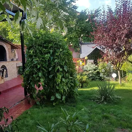 Casa Davi * Costineşti