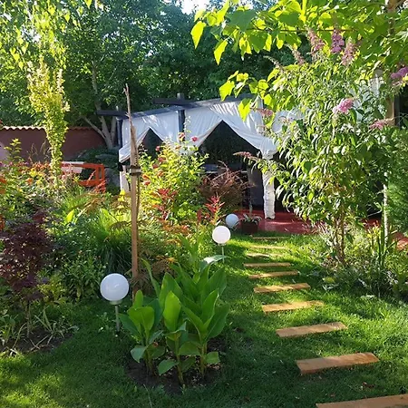 Casa Davi Pensionat Costinesti