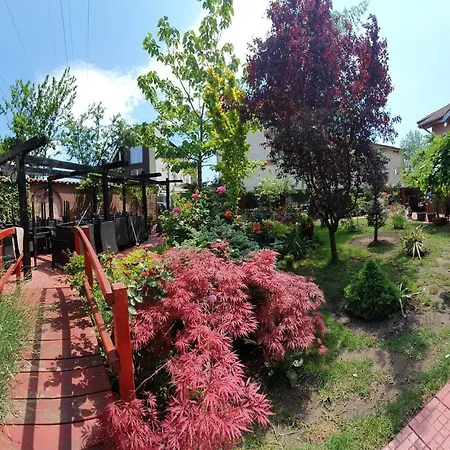 Casa Davi Pensionat *