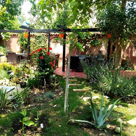 Casa Davi Pensionat *